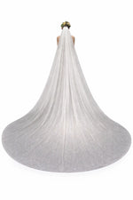 Voile de mariée scintillant